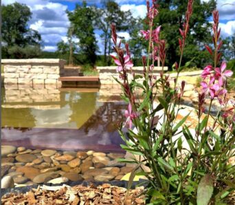 Baignade naturelle